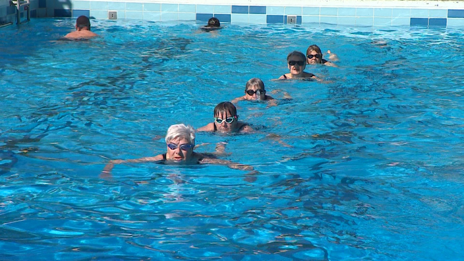 Een groep oudere zwemmers trekt gedisciplineerd baantjes in Blankershove.