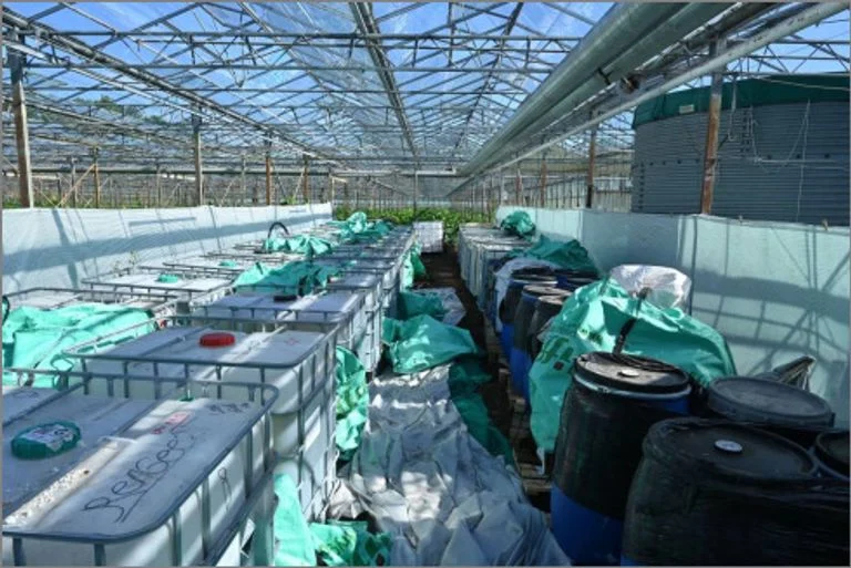 drugslab bergen op zoom