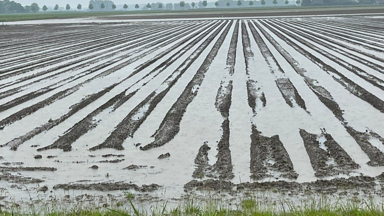 Land onder water aardappelen Ary Kruisland