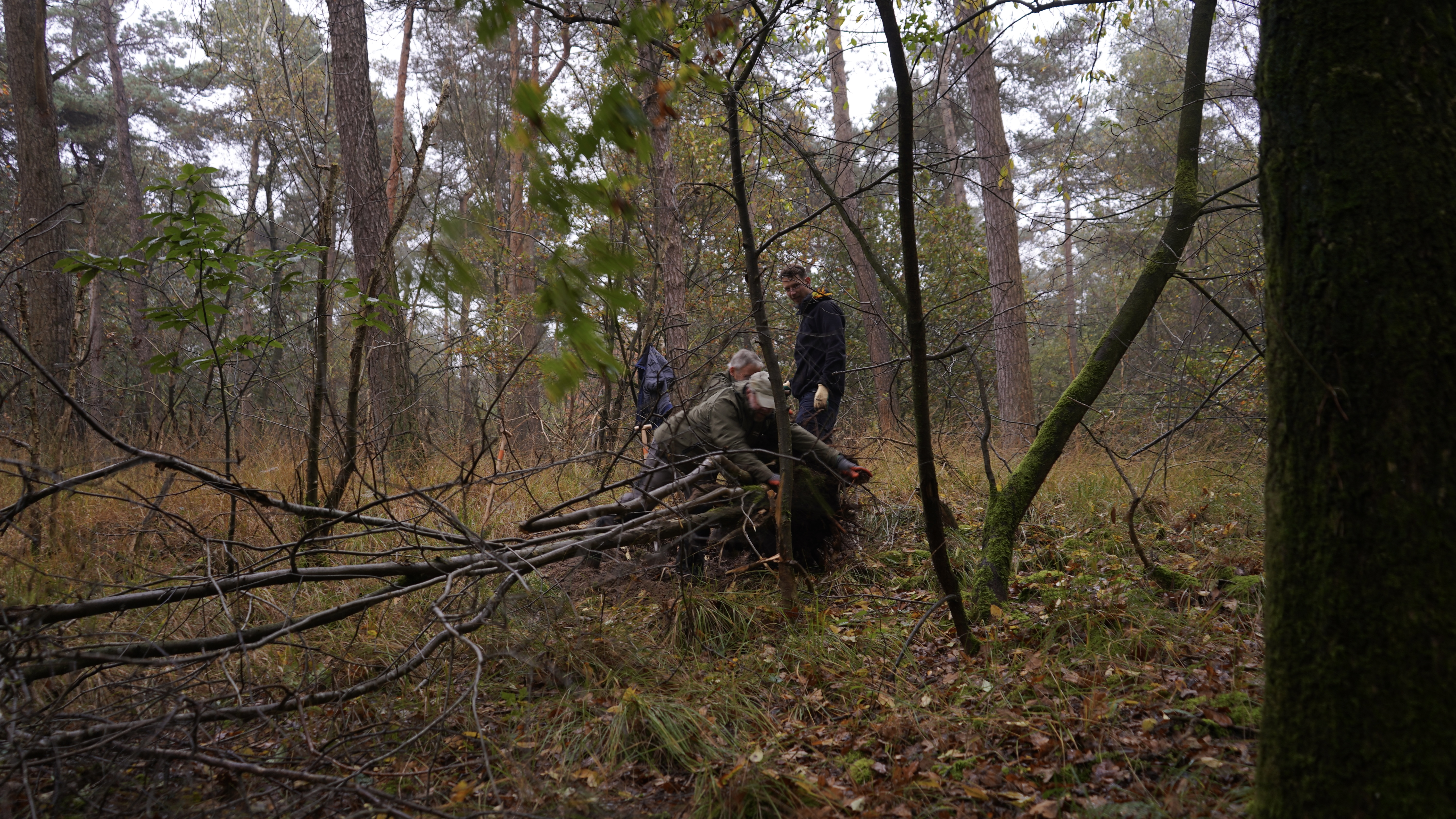 Natuurwerkdag Schijf