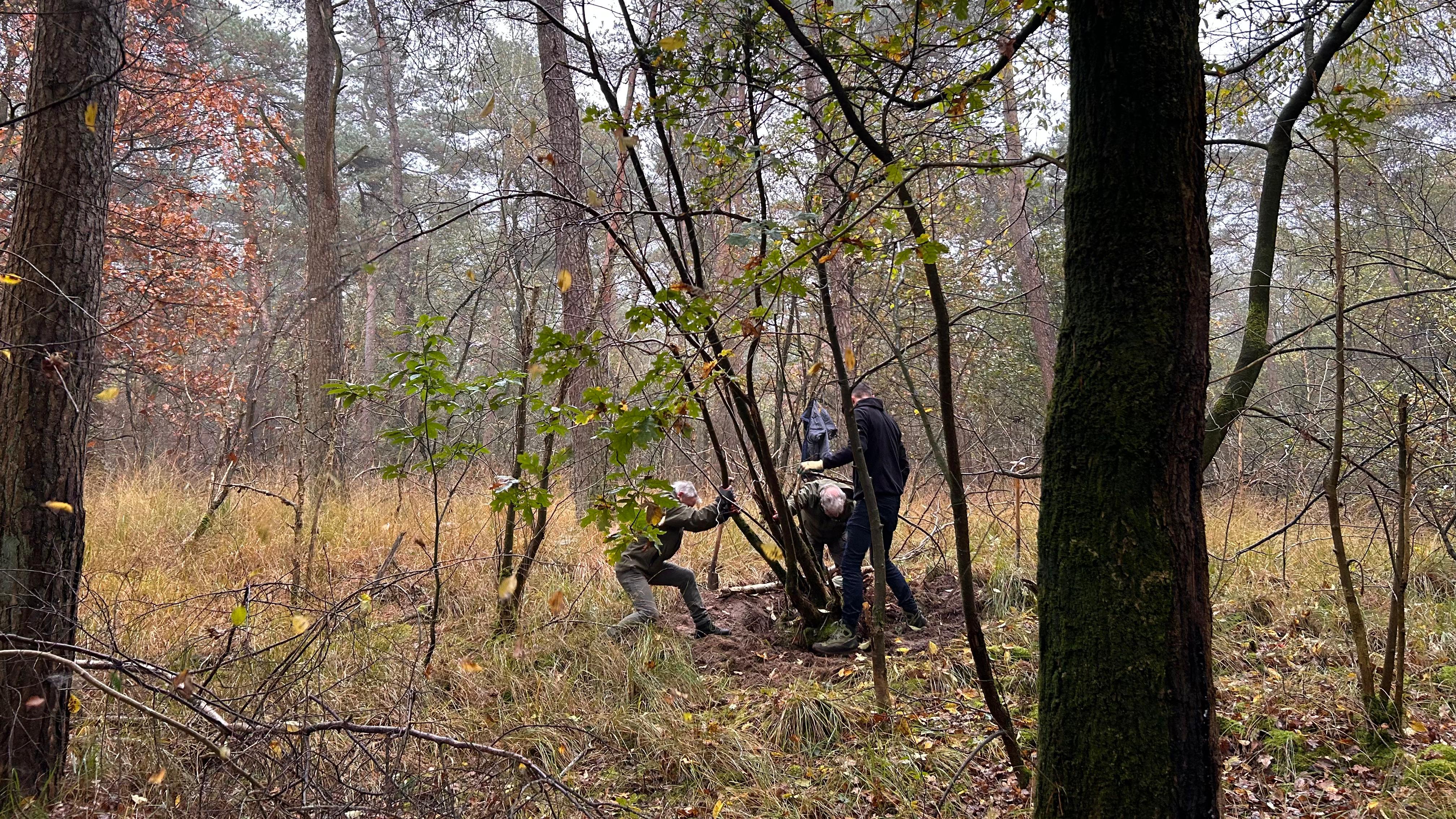 Natuurwerkdag Schijf