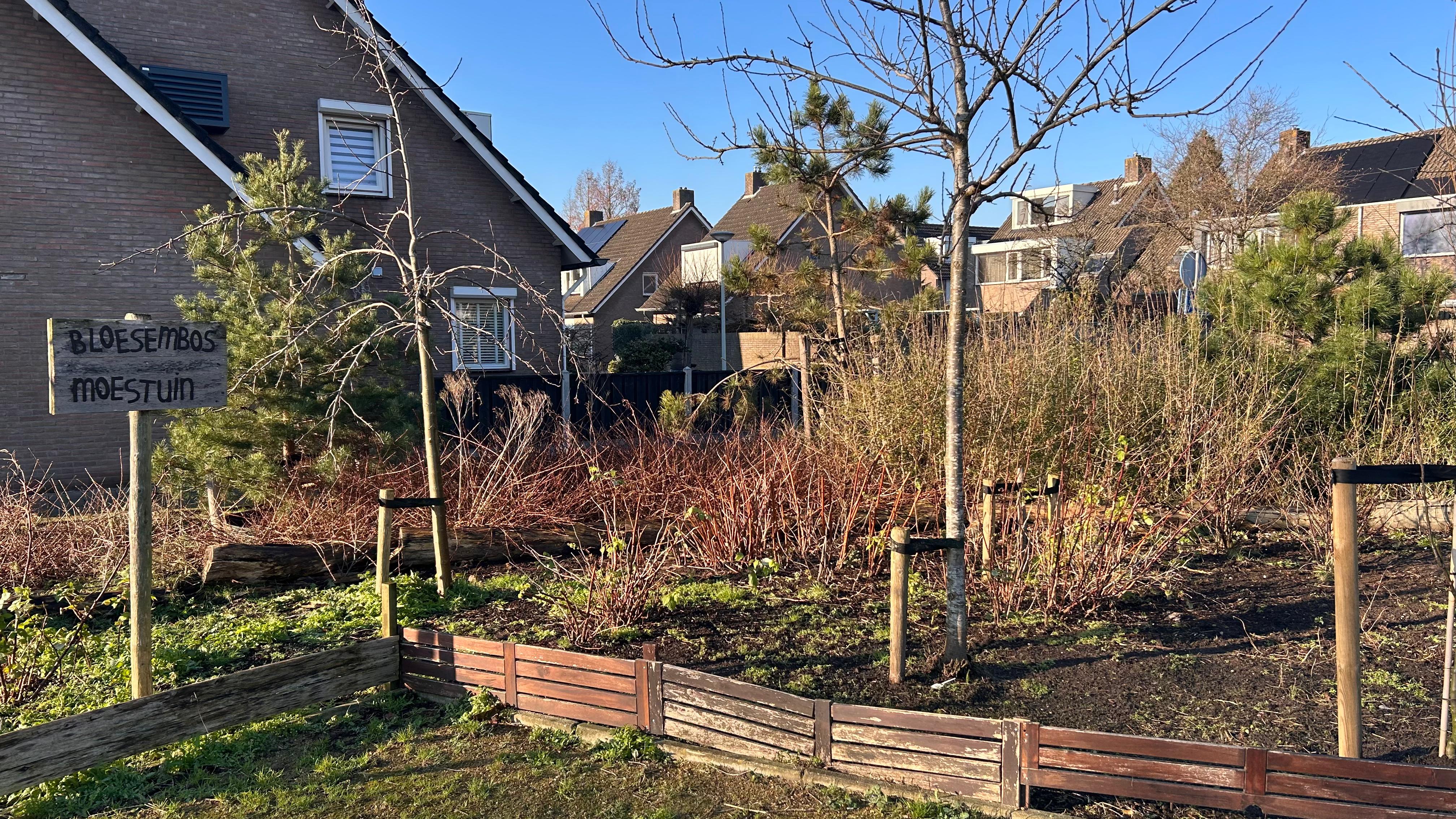 bloesembos roosendaal