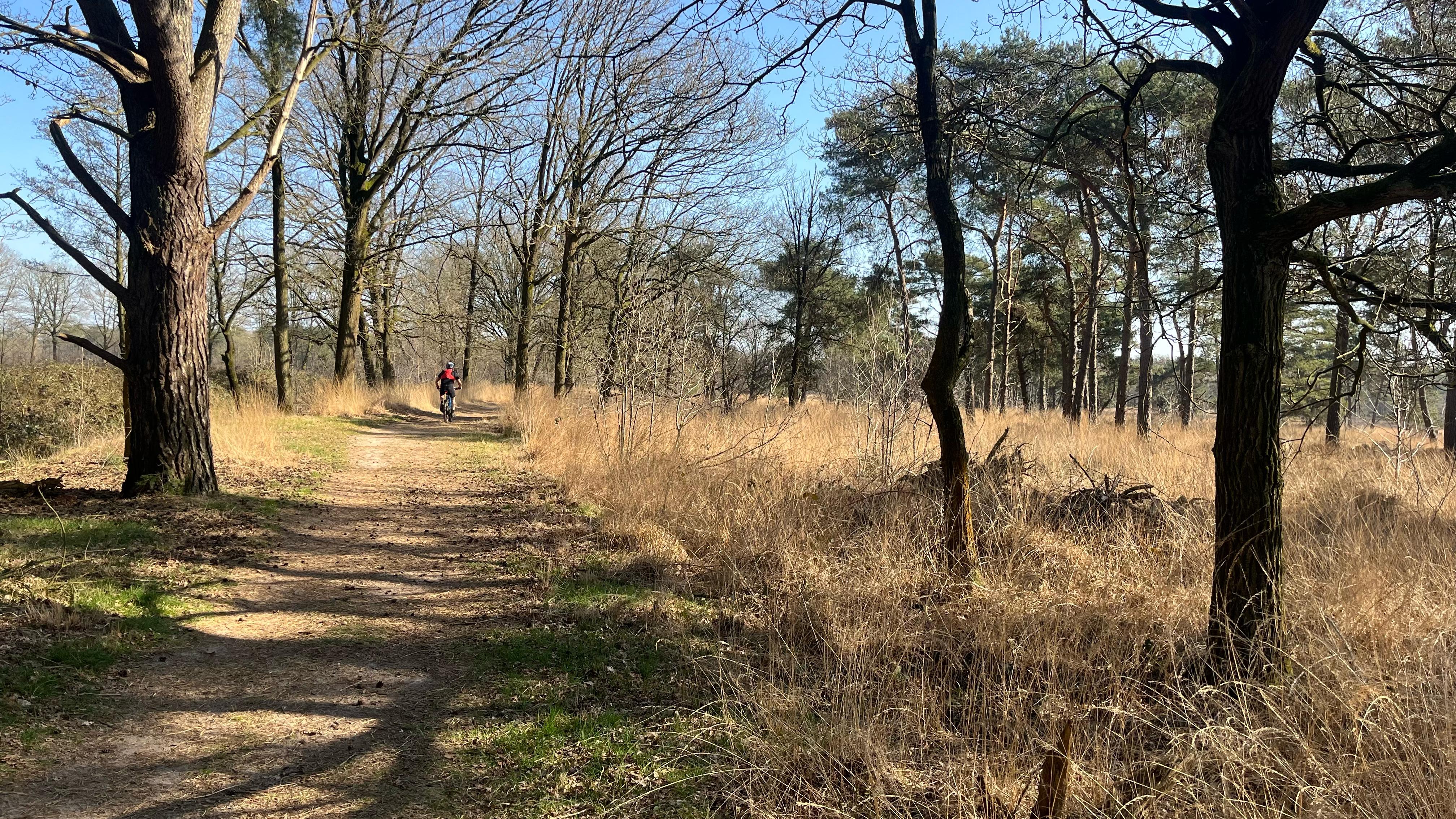 Poeziëwandeling Zundert