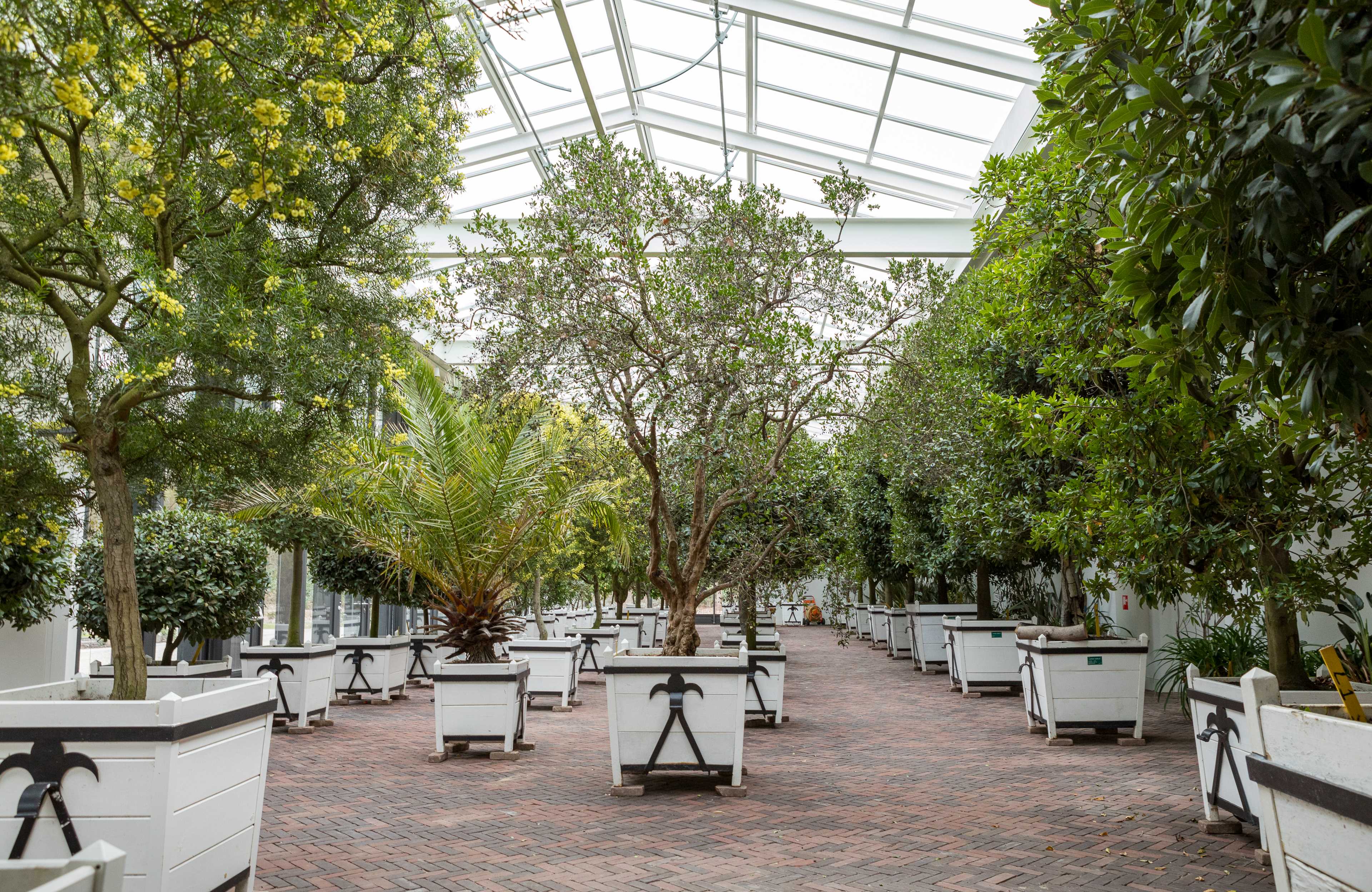 De kuipen in hun binnenverblijf. Foto: Joris Hoogstede