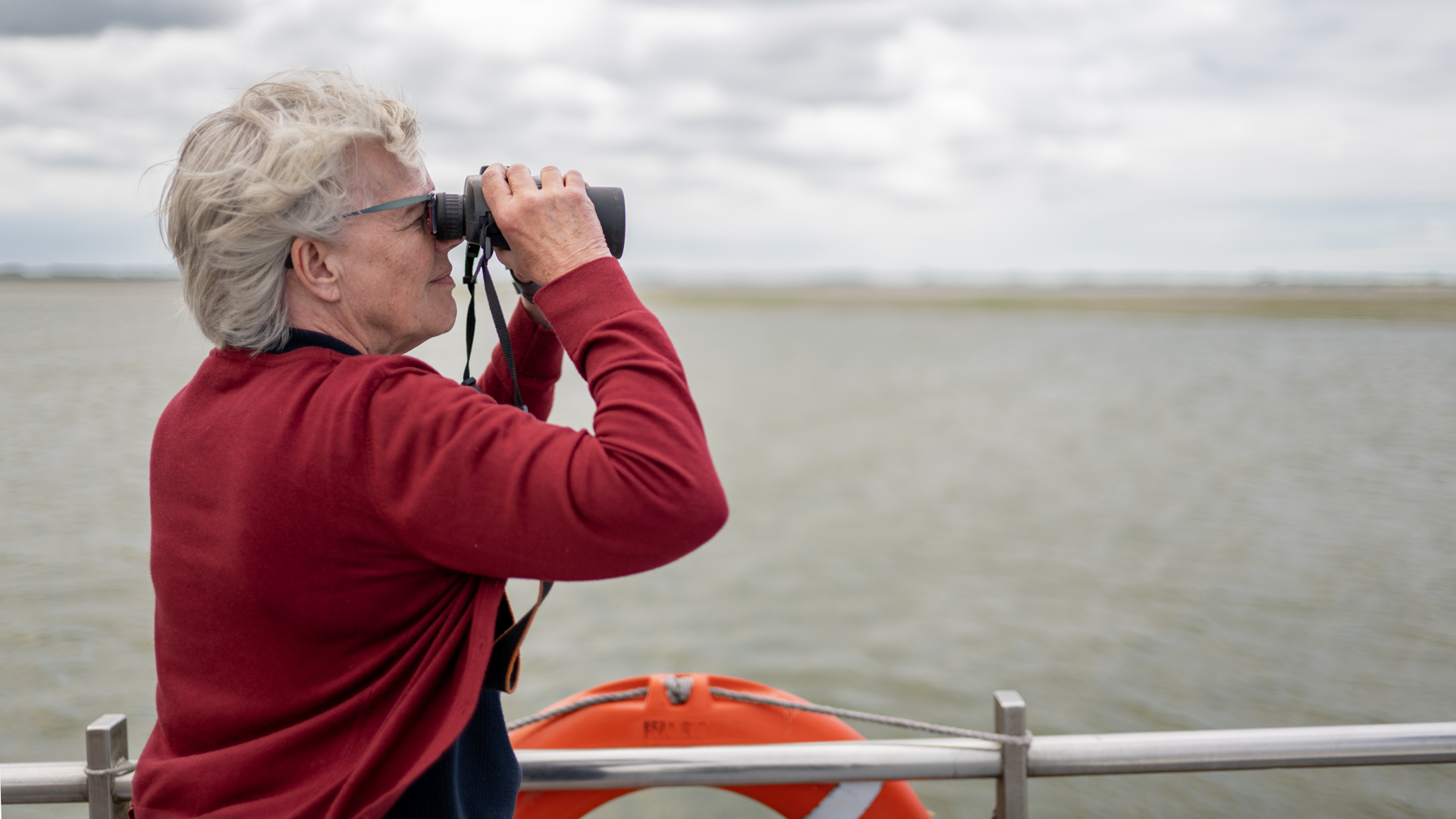 Zeehonden kijken tijdens Oosterschelde bewonerscursus | Foto: Jelka Matlung