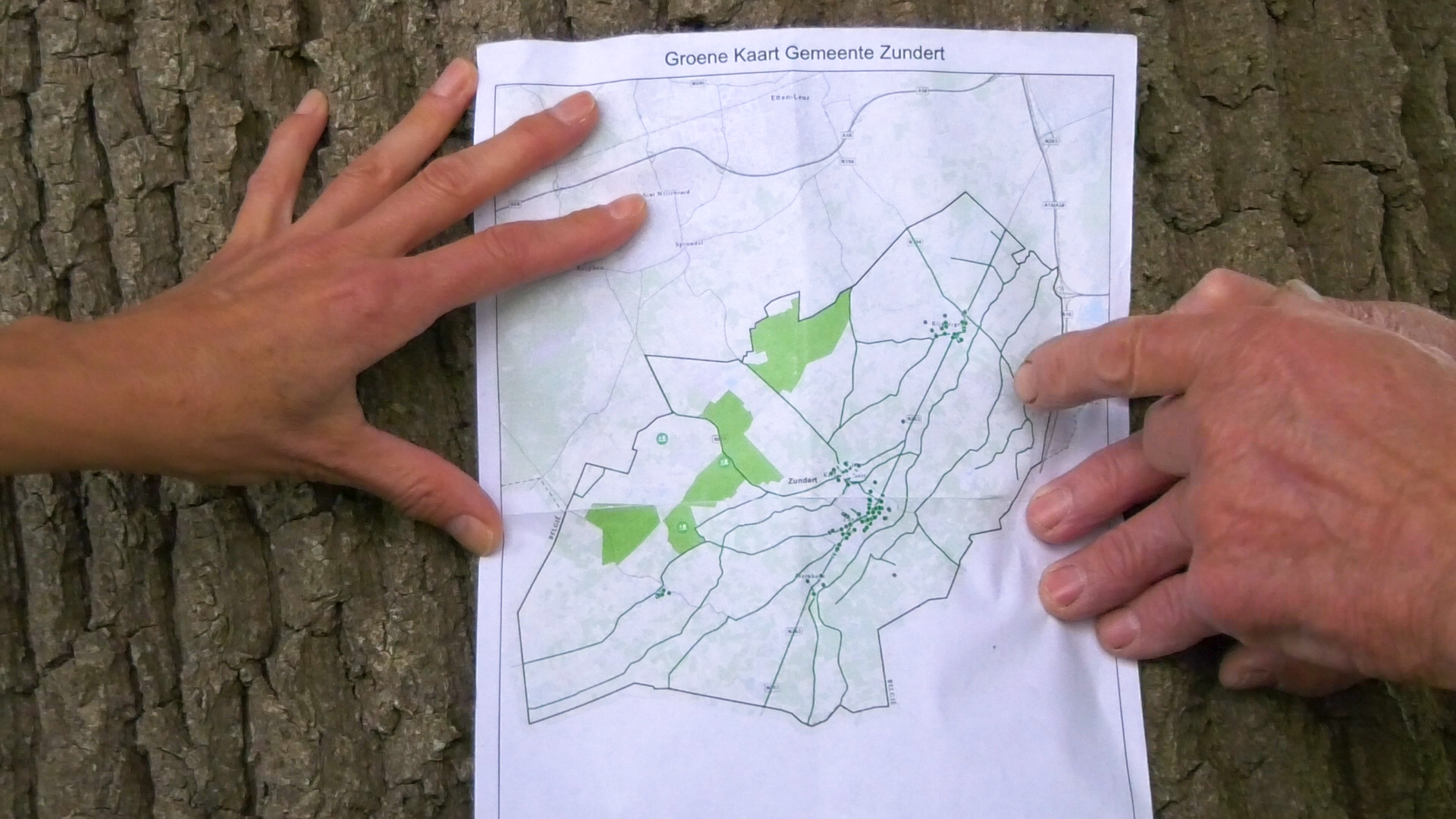 Op de Groene Kaart staat aangegeven welke bomen beschermd zijn van kappen.