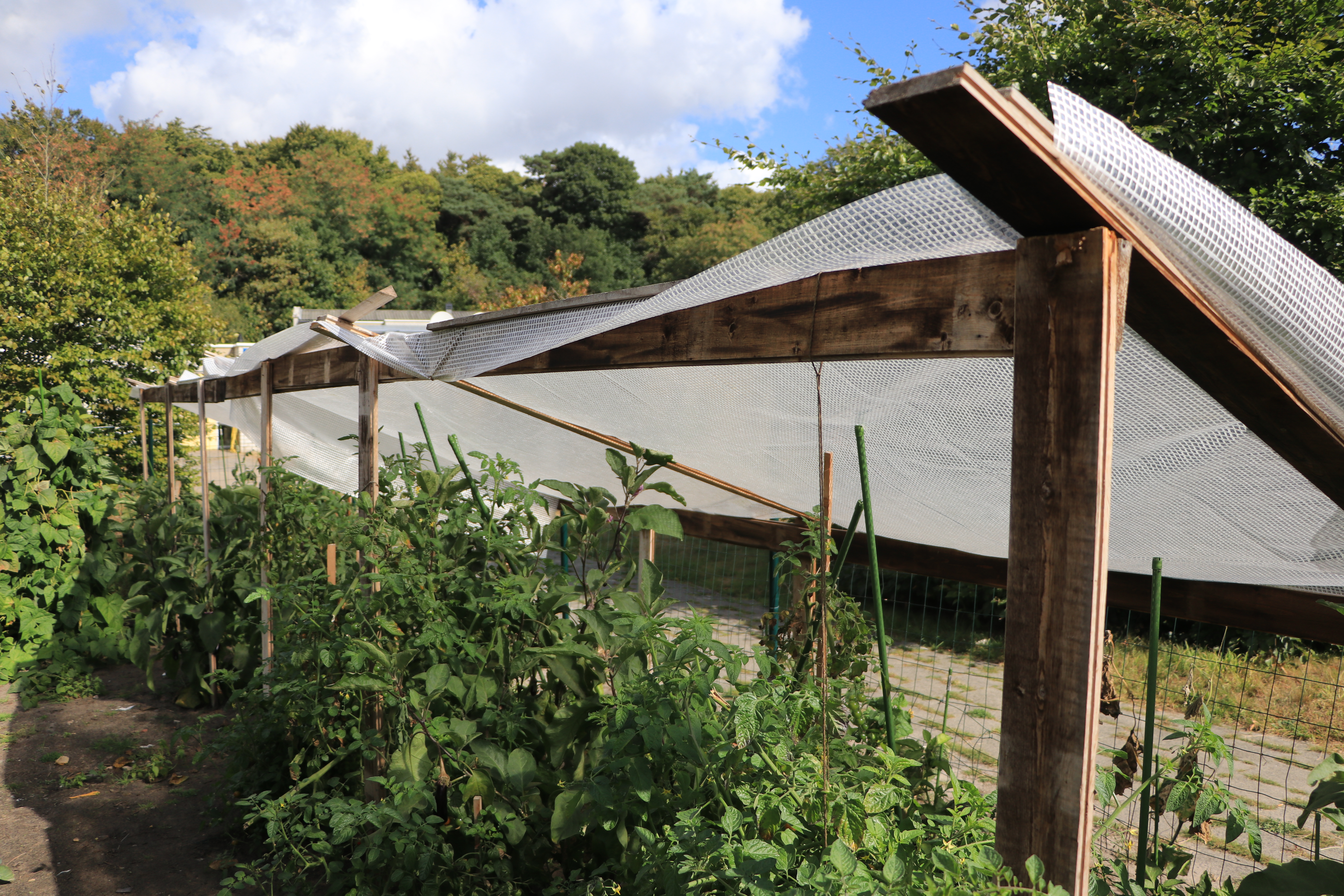 Ook in de moestuin hebben bewoners dingen gebouwd. (Foto: ZuidWest Update)