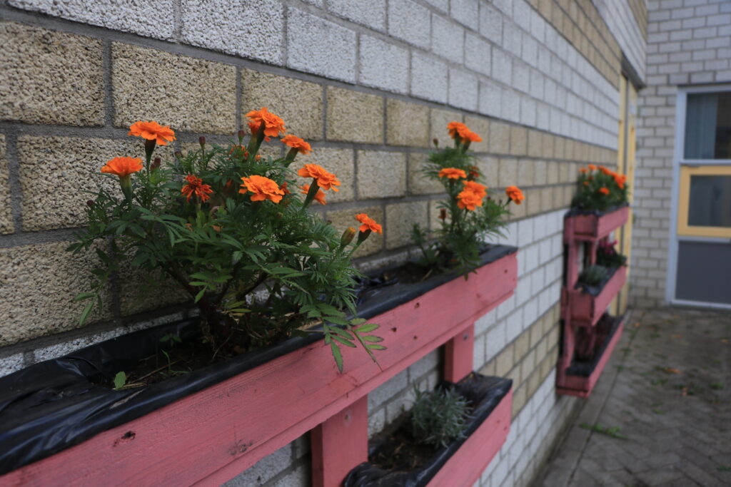 Aan de muren hangen bloembakken die bewoners gemaakt hebben. (Foto: ZuidWest Update)