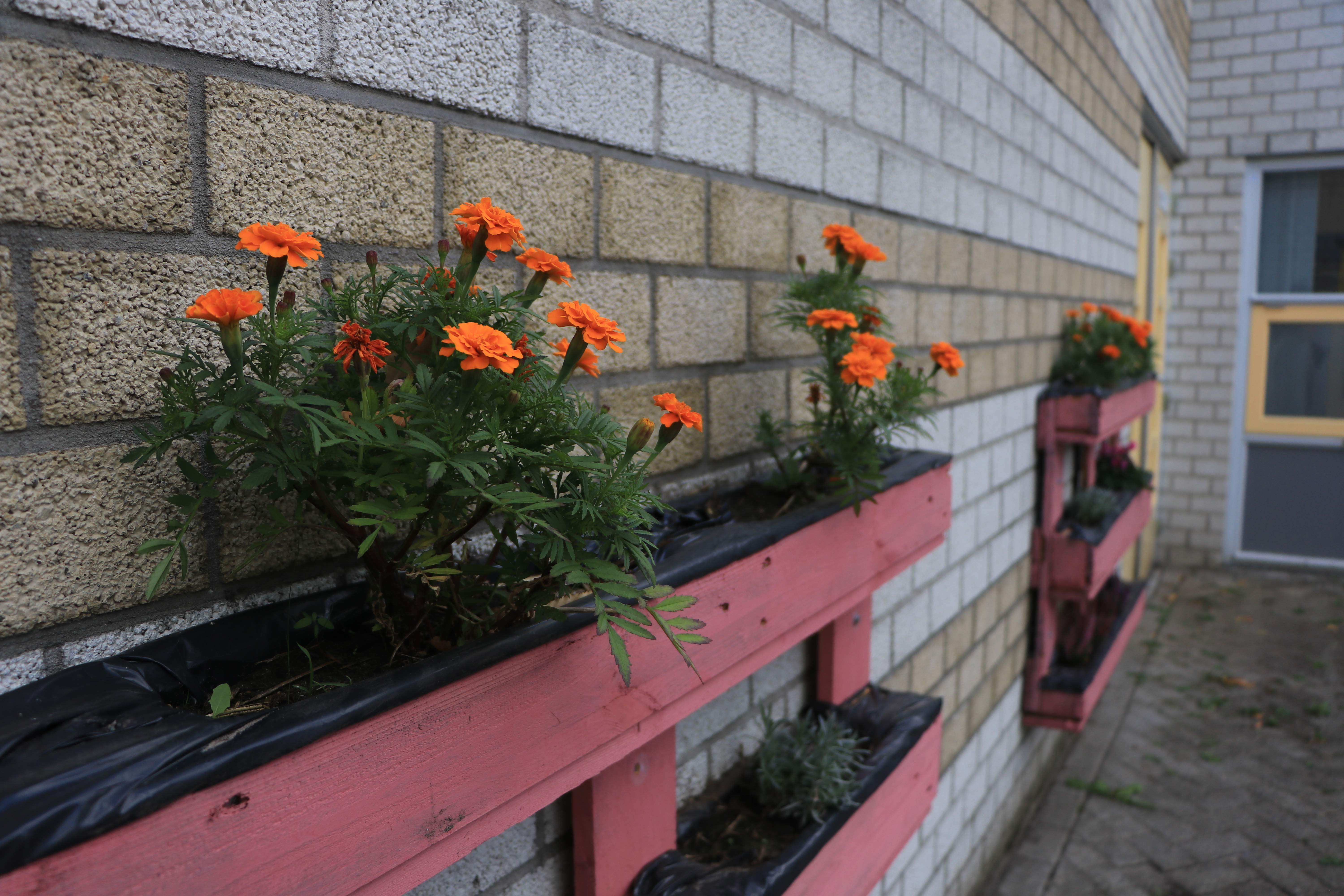Aan de muren hangen bloembakken die bewoners gemaakt hebben. (Foto: ZuidWest Update)