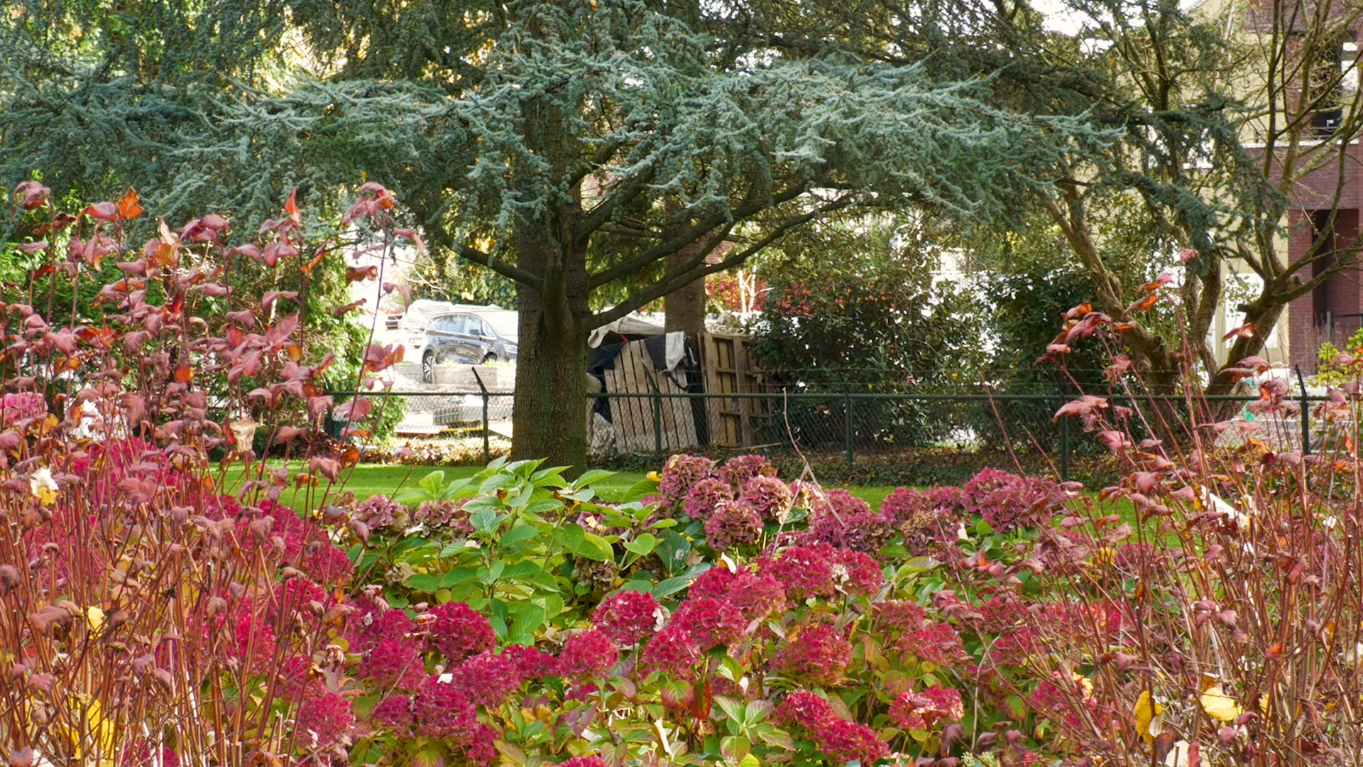 Tussen de bomen en struiken was het kampement gerealiseerd.