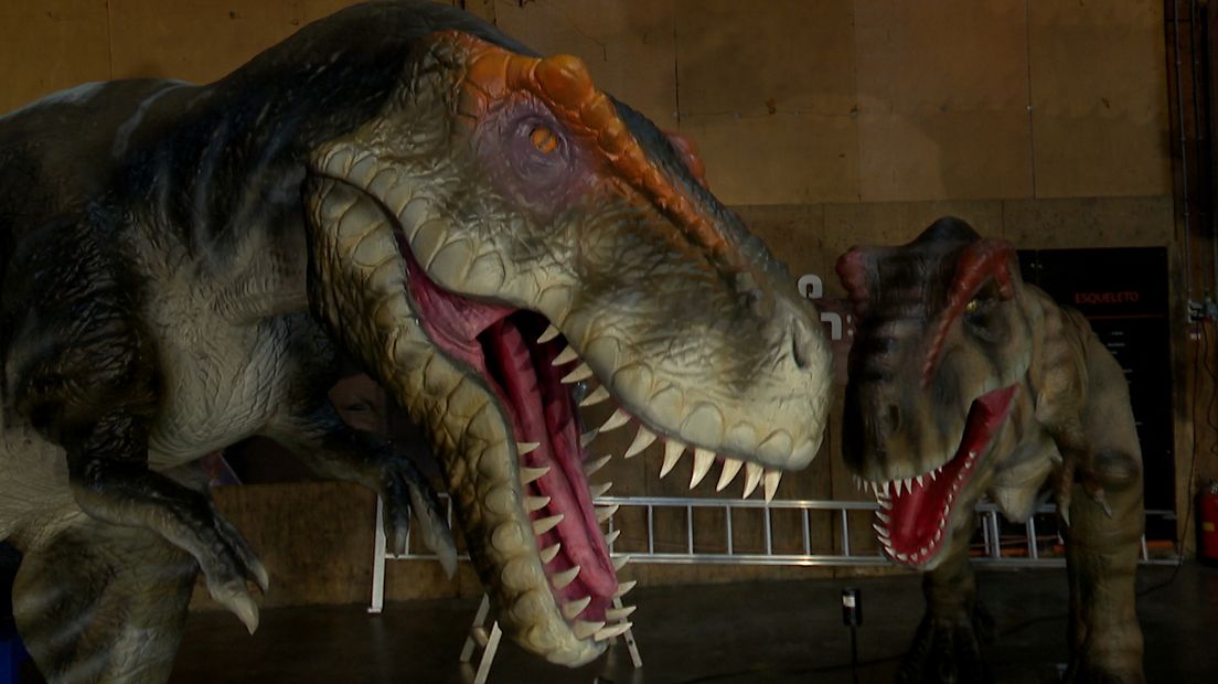 dinosaurus nieuws zeeland tholen