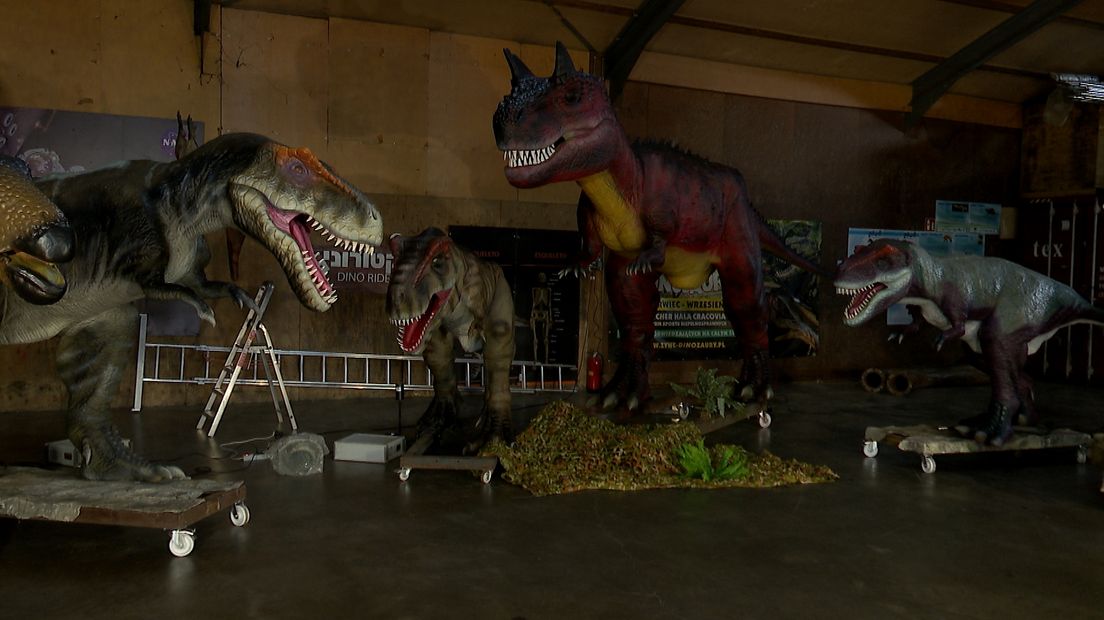 dinosaurus nieuws zeeland tholen