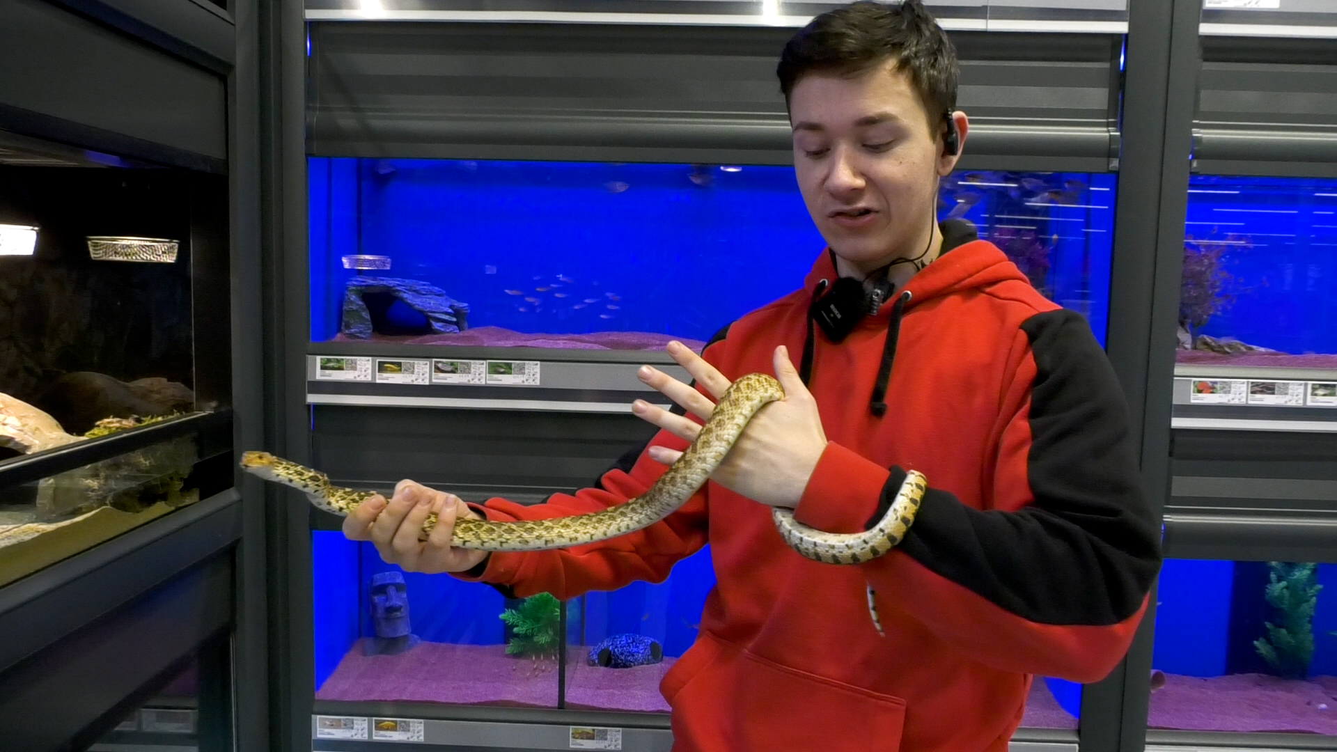 Het filiaal beschikt over een ruim dierenassortiment, waaronder reptielen en vissen.