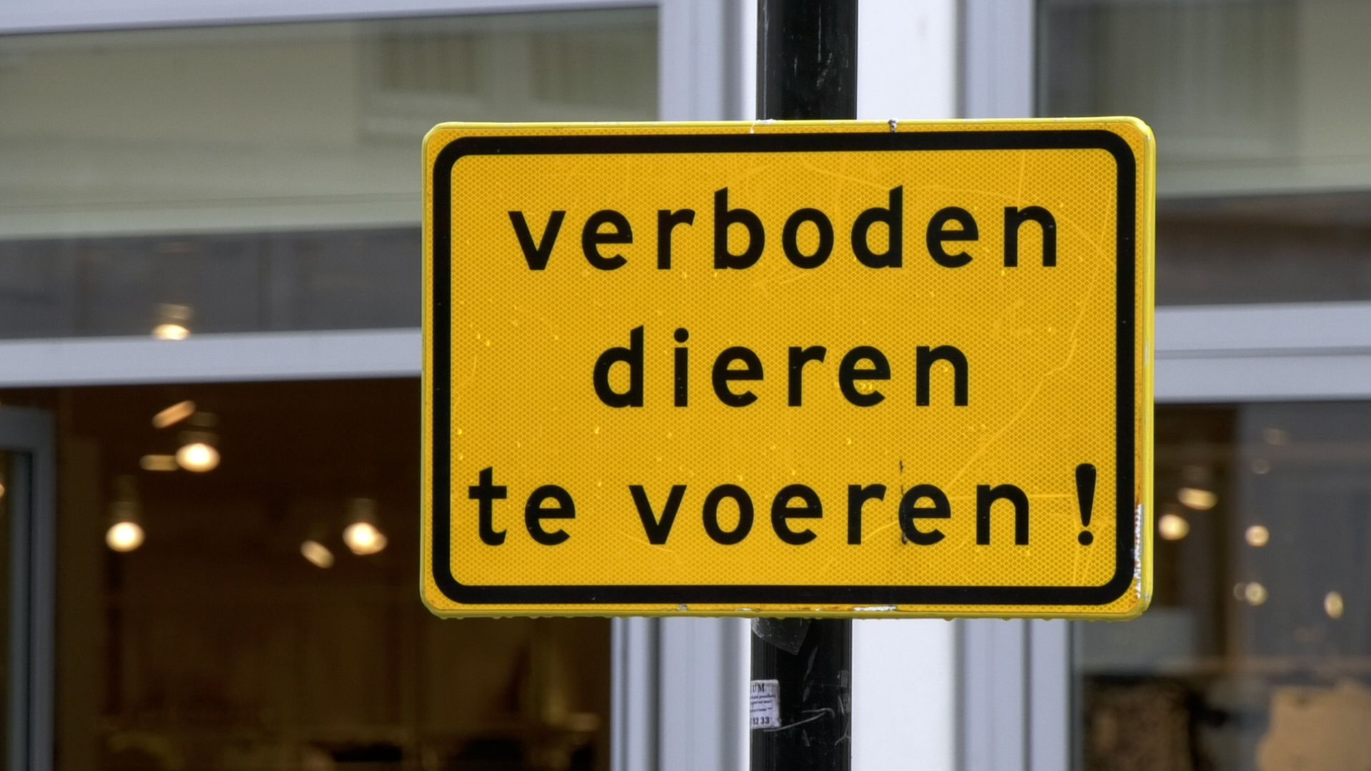 Aan het St Josephplein staat nu een bord dat dieren niet meer gevoerd mogen worden.