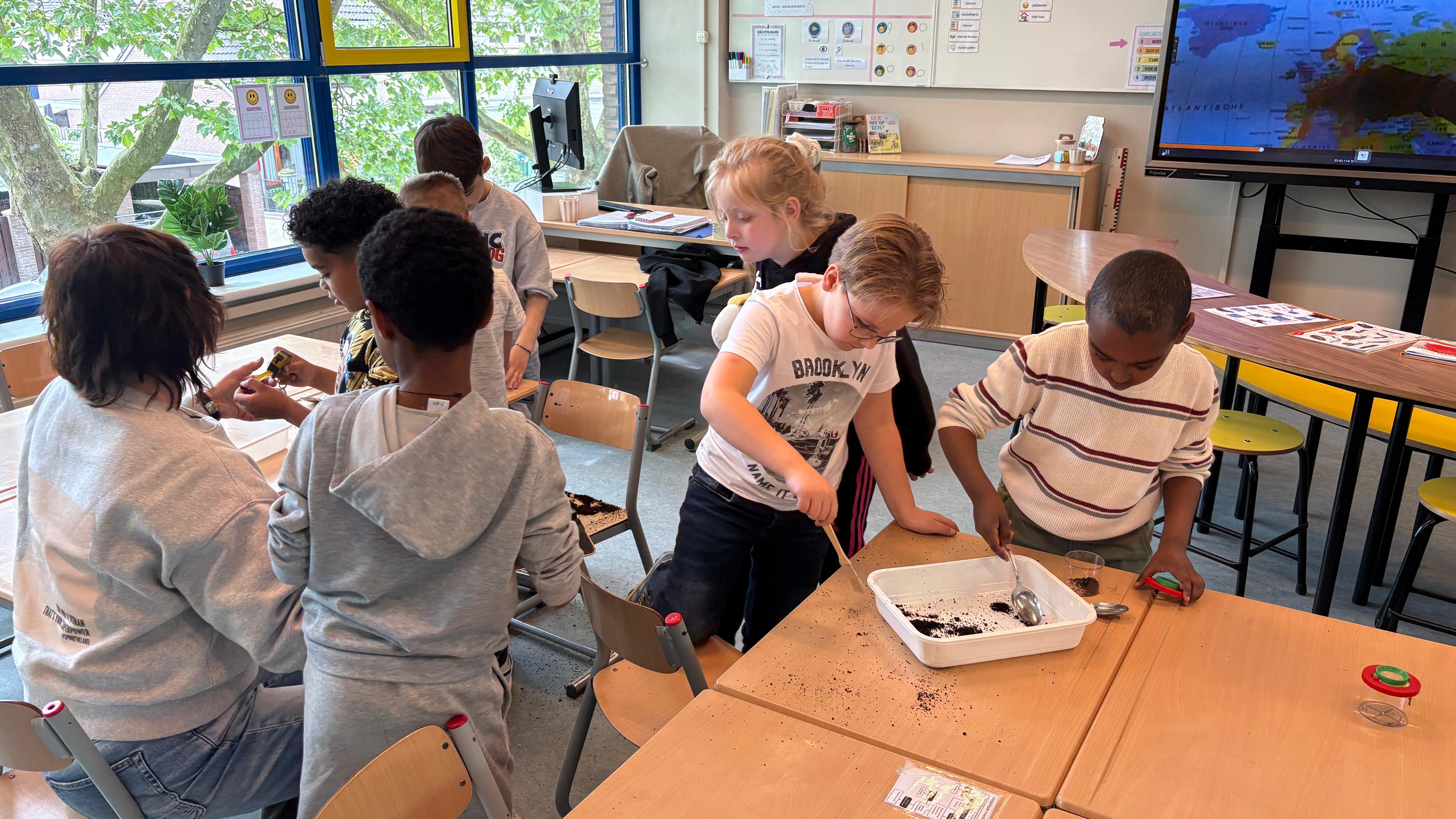 Groep vier van bassischool De Toren is bezig met het wormenonderzoek (Foto: ZuidWest Update)